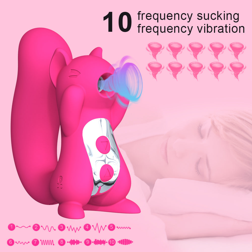 New Female In-Boby Vibration Suction Rechargeable Squirrel Sex Suction Vibrator For Women