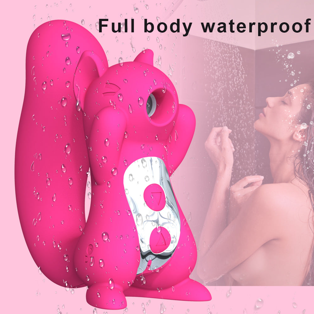 New Female In-Boby Vibration Suction Rechargeable Squirrel Sex Suction Vibrator For Women