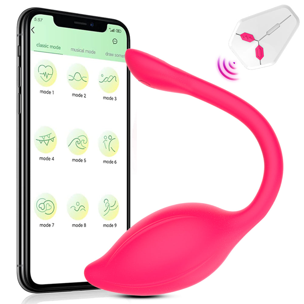 APP Remote Control G-spot Panty Vibrator Long Distance Bluetooth Wearable Vibrator Chargeable Adult Sex Toys