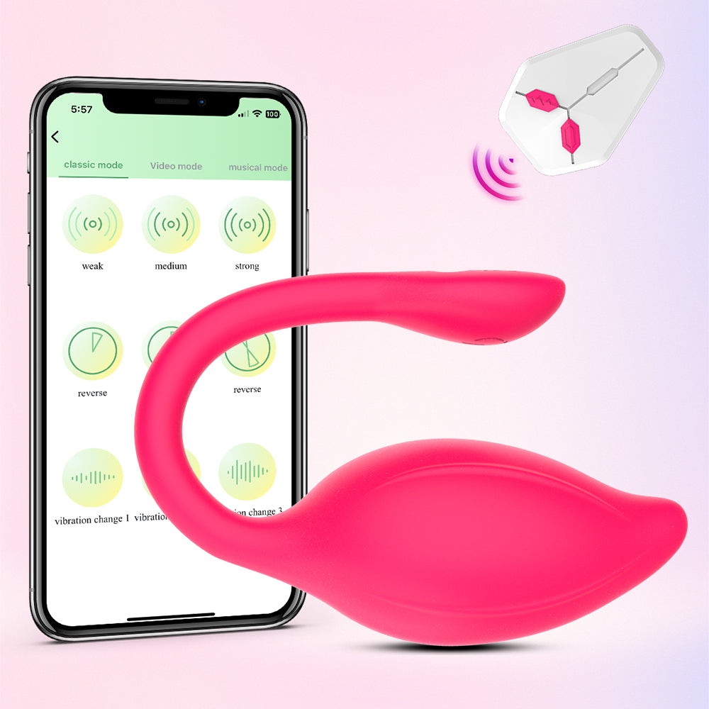 APP Remote Control G-spot Panty Vibrator Long Distance Bluetooth Wearable Vibrator Chargeable Adult Sex Toys