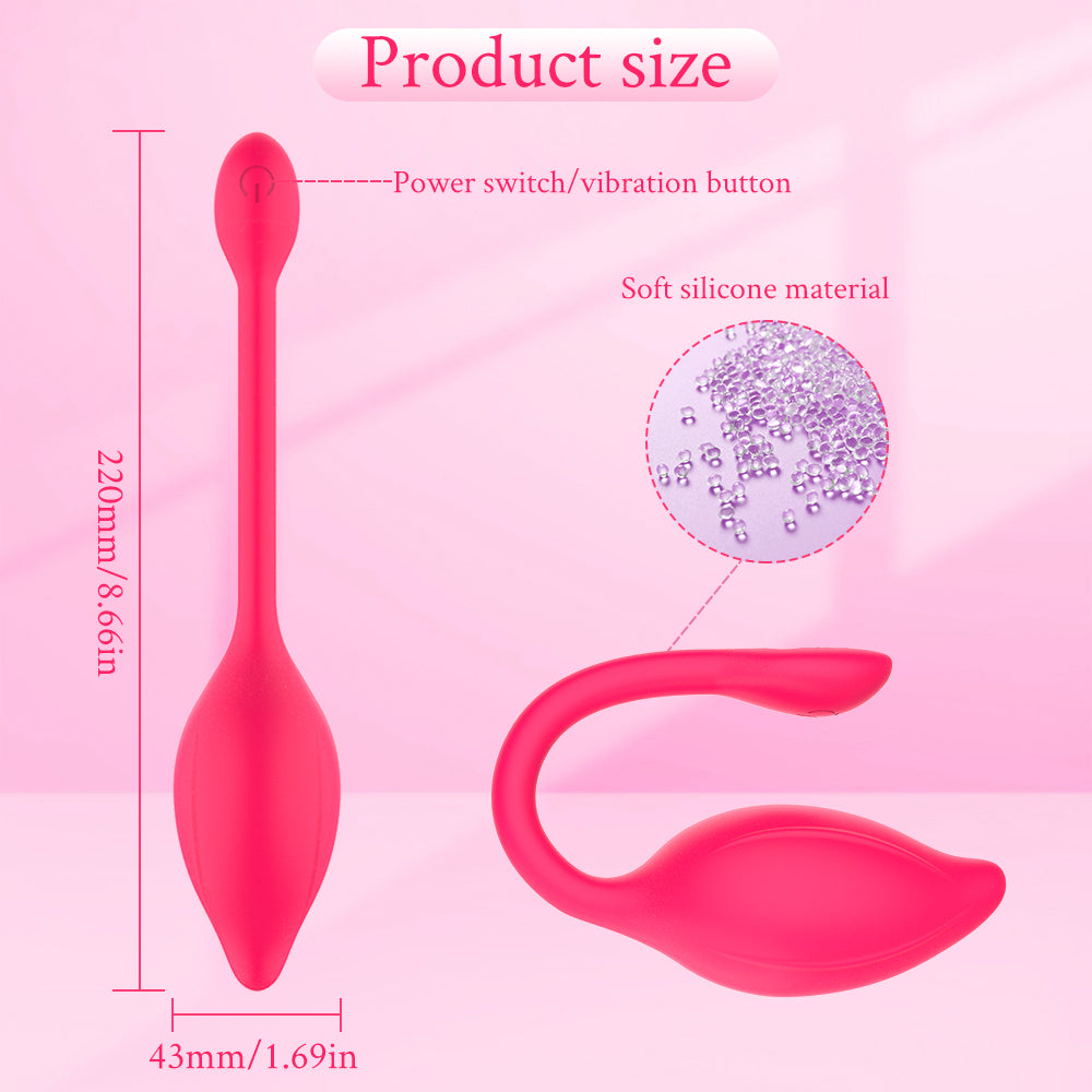 APP Remote Control G-spot Panty Vibrator Long Distance Bluetooth Wearable Vibrator Chargeable Adult Sex Toys