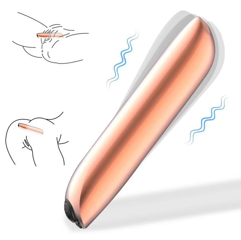 19 Function Silver Bullet Vibrator Battery Mini Vibrating Toys Usb Bullet Vibrator