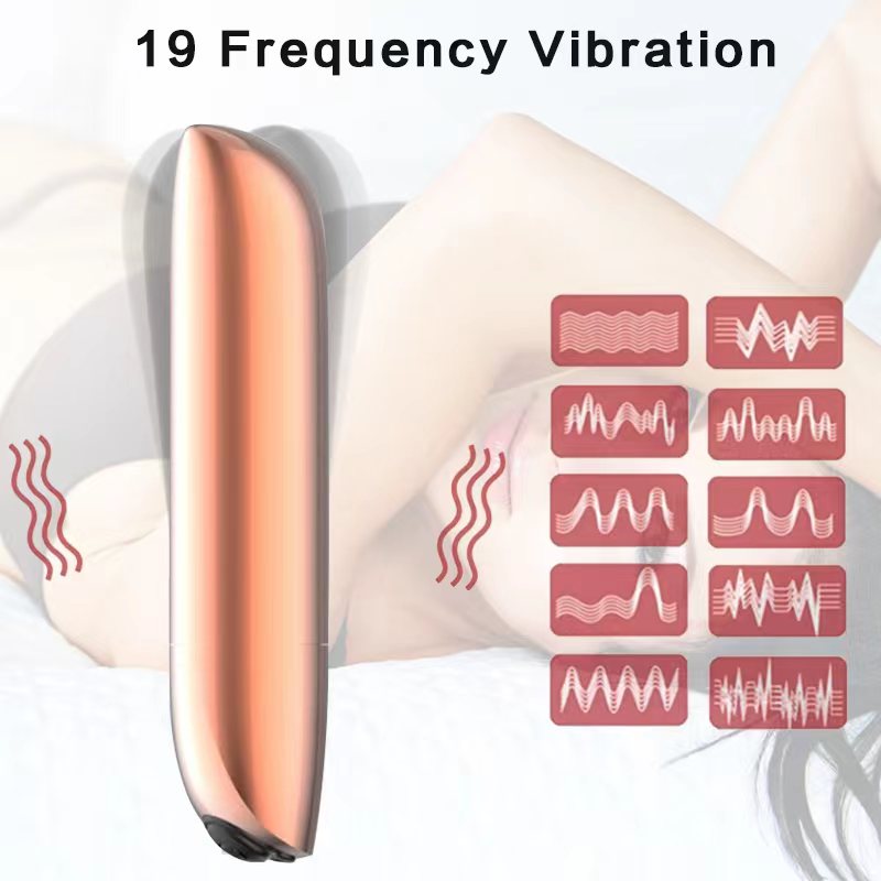 19 Function Silver Bullet Vibrator Battery Mini Vibrating Toys Usb Bullet Vibrator